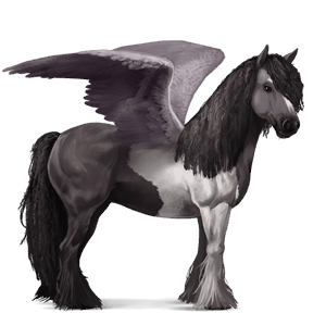 rijpaard-pegasus selle français muisgrijs