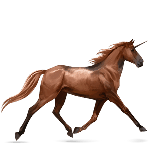 rijpaard-eenhoorn quarter horse kastanje