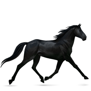 rijpaard tennessee walker zwart