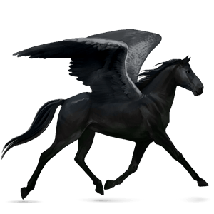 rijpaard-pegasus lusitano bruin