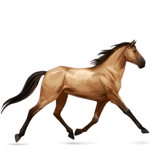 rijpaard lusitano wildkleur