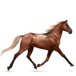 rijpaard akhal-teke wildkleur