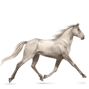 rijpaard lusitano palomino