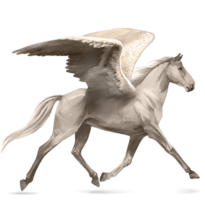 rijpaard-pegasus ierse hunter kastanje