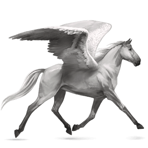 rijpaard-pegasus ierse hunter lichtgrijs