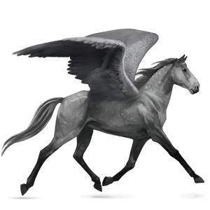 rijpaard-pegasus kwpn gestippeld grijs