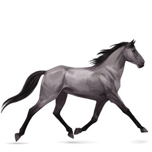 rijpaard lusitano bruin