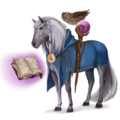 pony-eenhoorn tovenaar