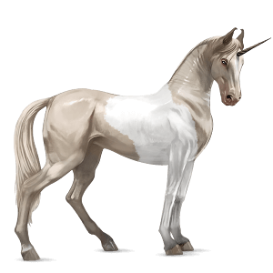 rijpaard-eenhoorn akhal-teke wildkleur