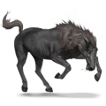 rijpaard weerpaard