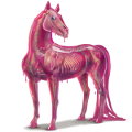 pony klodder