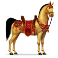 pony woestijn