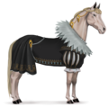 pony vacht van anne van oostenrijk