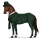 pony vacht van inspecteur lestrade