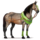 pony bos