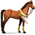 rijpaard woestijn