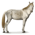 wild paard ainos pony