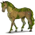 goddelijk paard alge