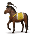 speciaal paard altaïr