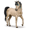speciaal paard amira