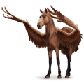 vogel dwalend paard aquila