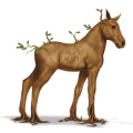 speciaal paard yggdrasil