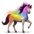 paard van de regenboog secret rainbow