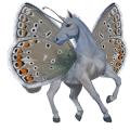 pony fjord brunblakk