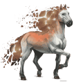droogte balius