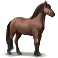 wild paard banker