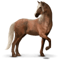 wild paard brumby