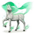 wind paard caicias