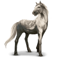 wild paard camargue