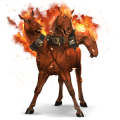 rijpaard lusitano zwart