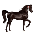 rijpaard lusitano gestippeld grijs