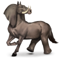 wild paard olifant