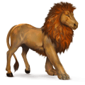 wild paard afrikaanse leeuw