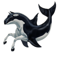 wild paard orka