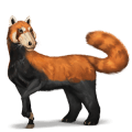 wild paard rode panda