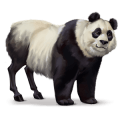 wild paard panda