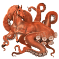 wild paard reuzenoctopus