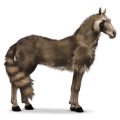 wild paard wasbeer