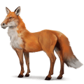wild paard vos