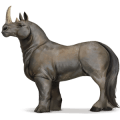 wild paard neushoorn
