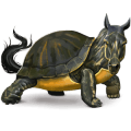 wild paard schildpad