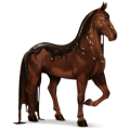 goddelijk paard pure chocolade