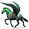 vogel dwalend paard cinnyris