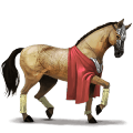 rijpaard quarter horse palomino