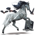 rijpaard lusitano wildkleur