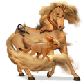 pony highland pony bruin